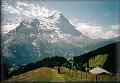Eiger (3970 m) cestou z Firstu do Grindelwaldu 