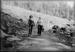 Léto 1981 - Orlické hory