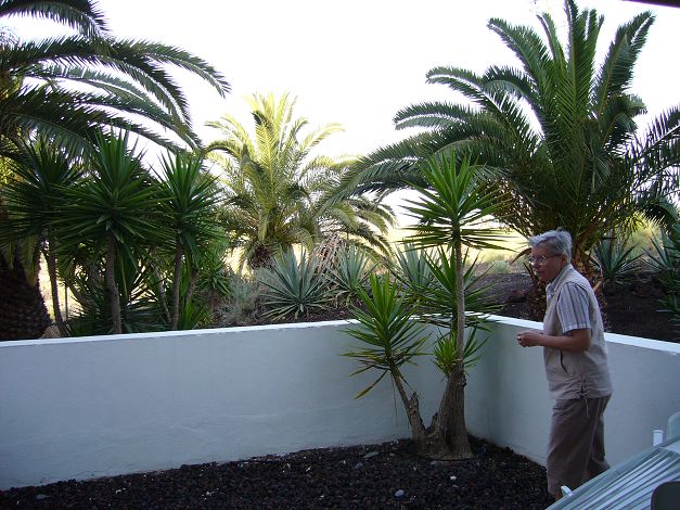 Tenerife 2007